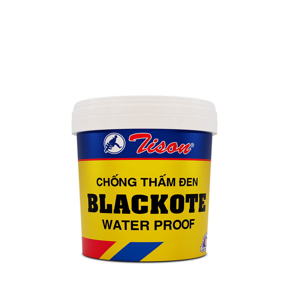 https://tison.live/wp-content/uploads/2020/08/son-chong-tham-blackote-800ml.jpg