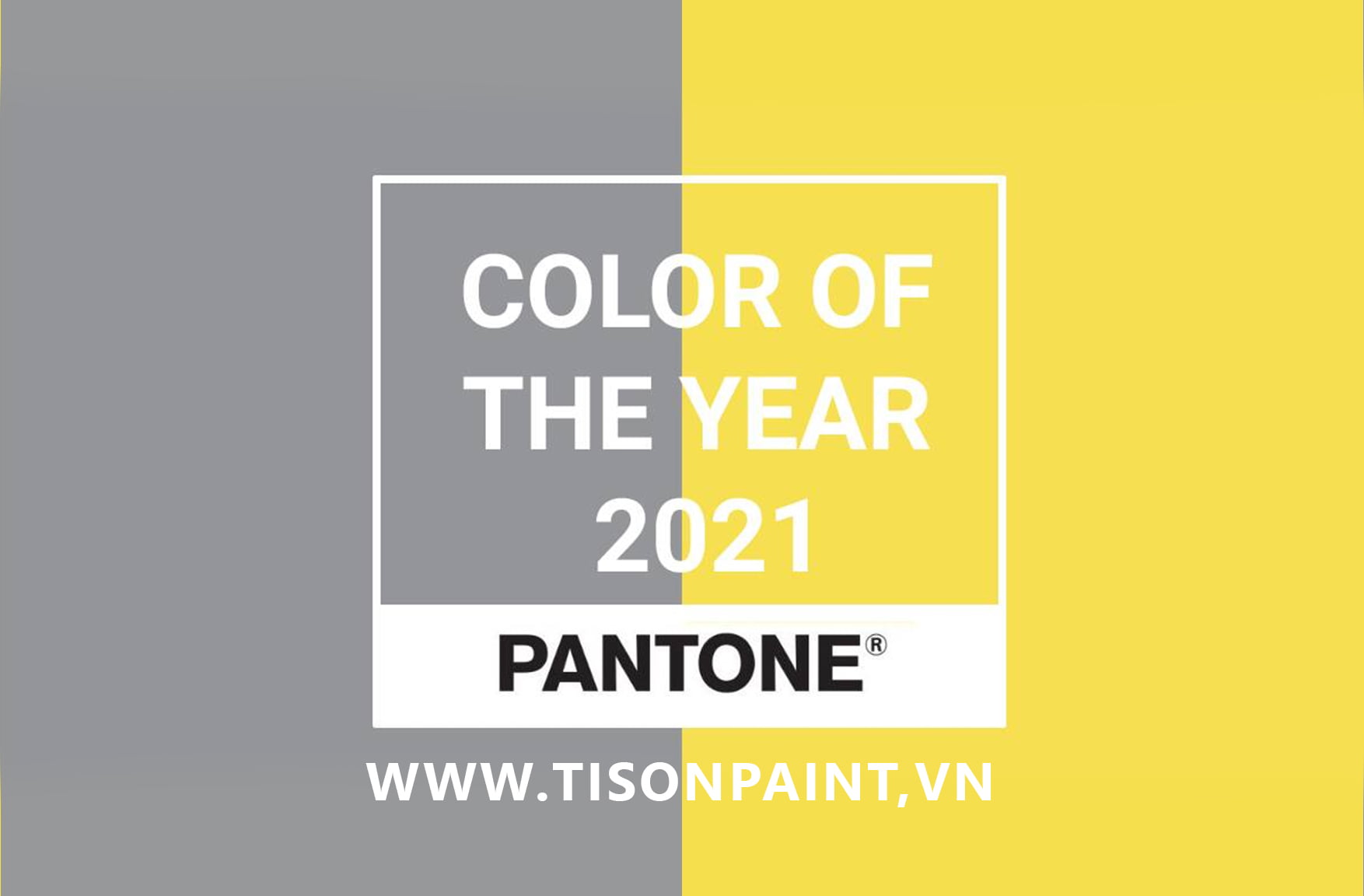Màu của năm 2021 đã chính thức công bố bởi Pantone
