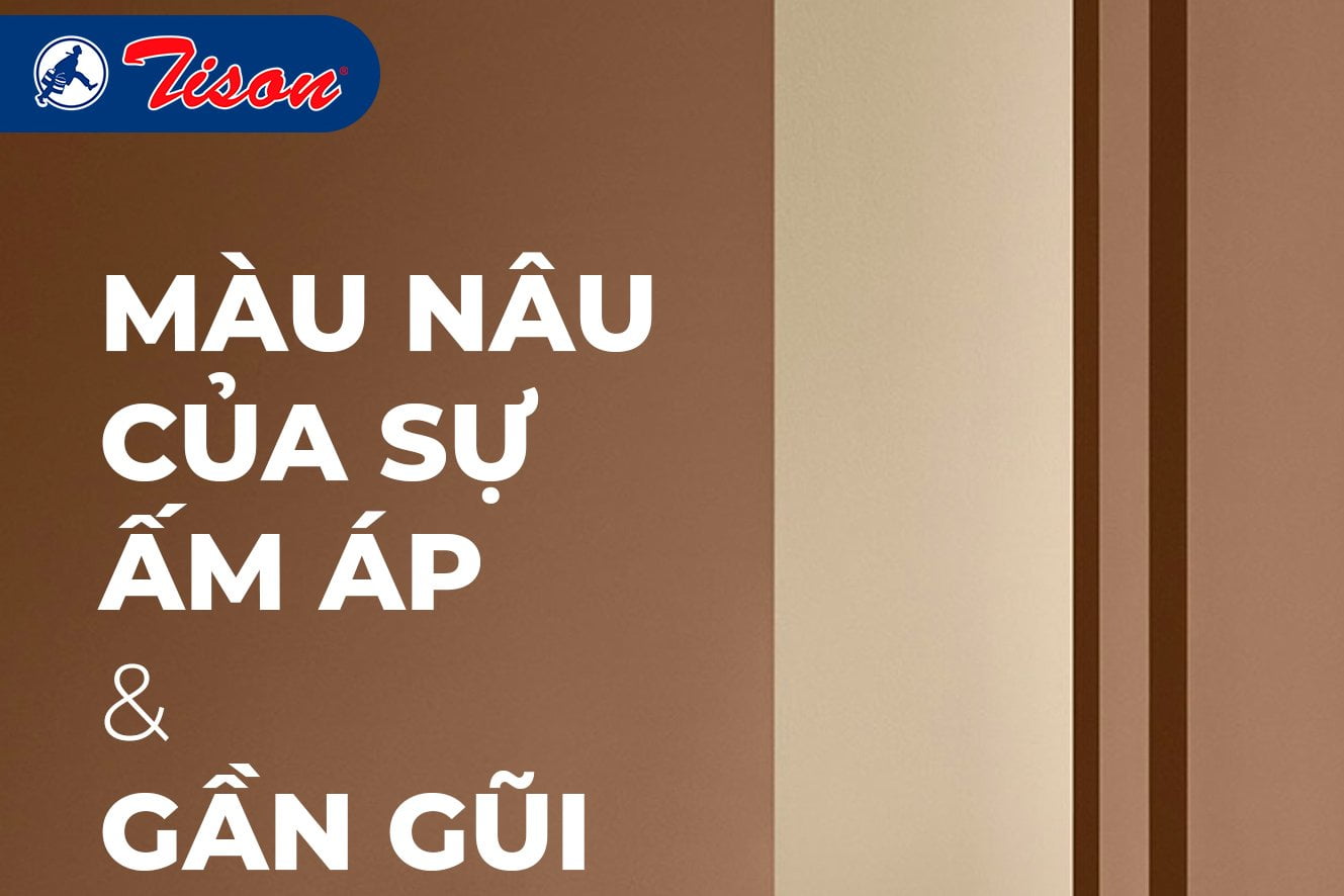 Sơn nội thất người mệnh Mộc nào được yêu thích nhất?