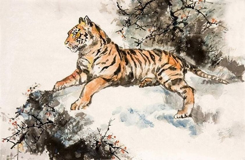 Chọn màu sơn cho tuổi Dần để đem lại may mắn