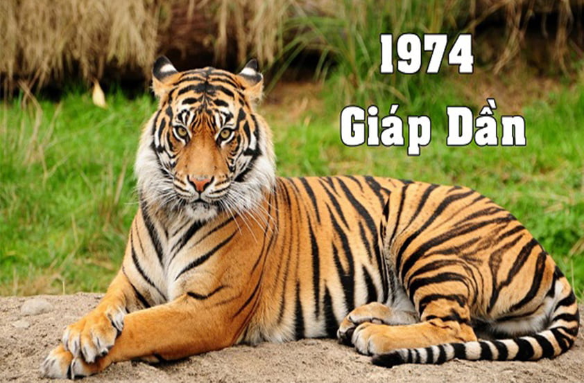 Top 3 màu sơn nhà hợp tuổi Giáp Dần (1974)