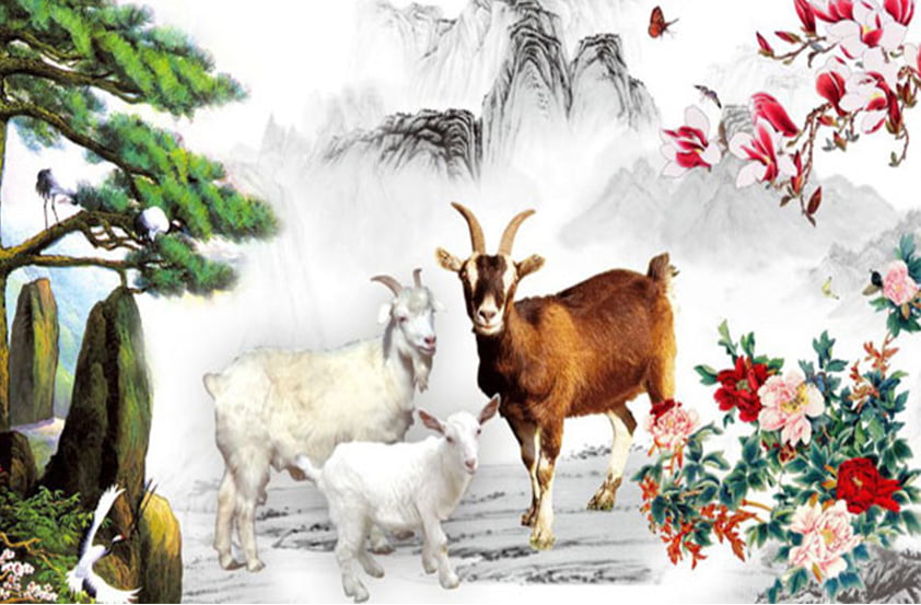 Gợi ý màu sơn nhà theo tuổi cho gia chủ tuổi Mùi