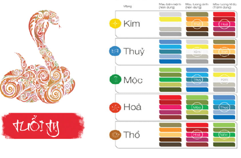 Tuổi Tỵ hợp màu gì khi sơn nhà trong năm 2022